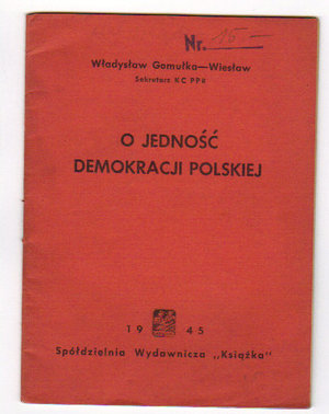 O jedność demokracji polskiej