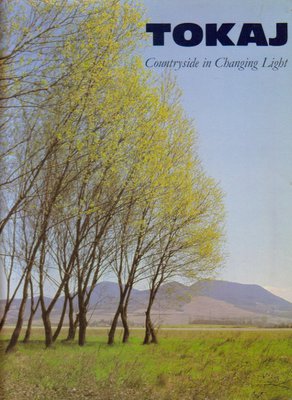 Tokaj.Countryside in Changing Light