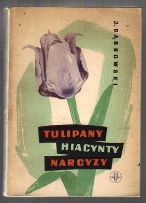 Tulipany, hiacynty, narcyzy