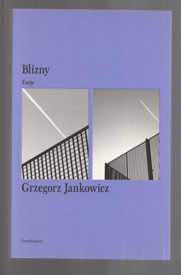 Blizny. Eseje