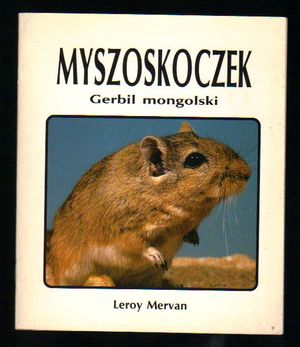 Myszoskoczek  Gerbil  mongolski